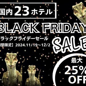 期間限定！ブラックフライデーセール最大25%OFF！